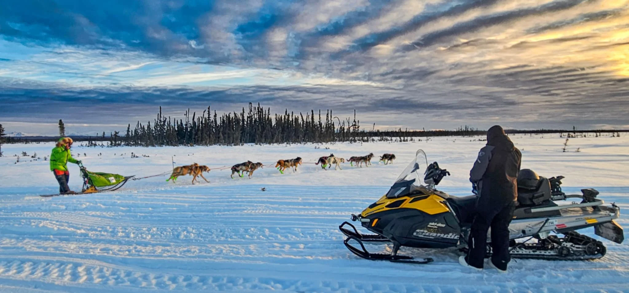 A group of sled dogs pulling a sled across the snow with a person in a bright green jacket, under a dramatic sky.