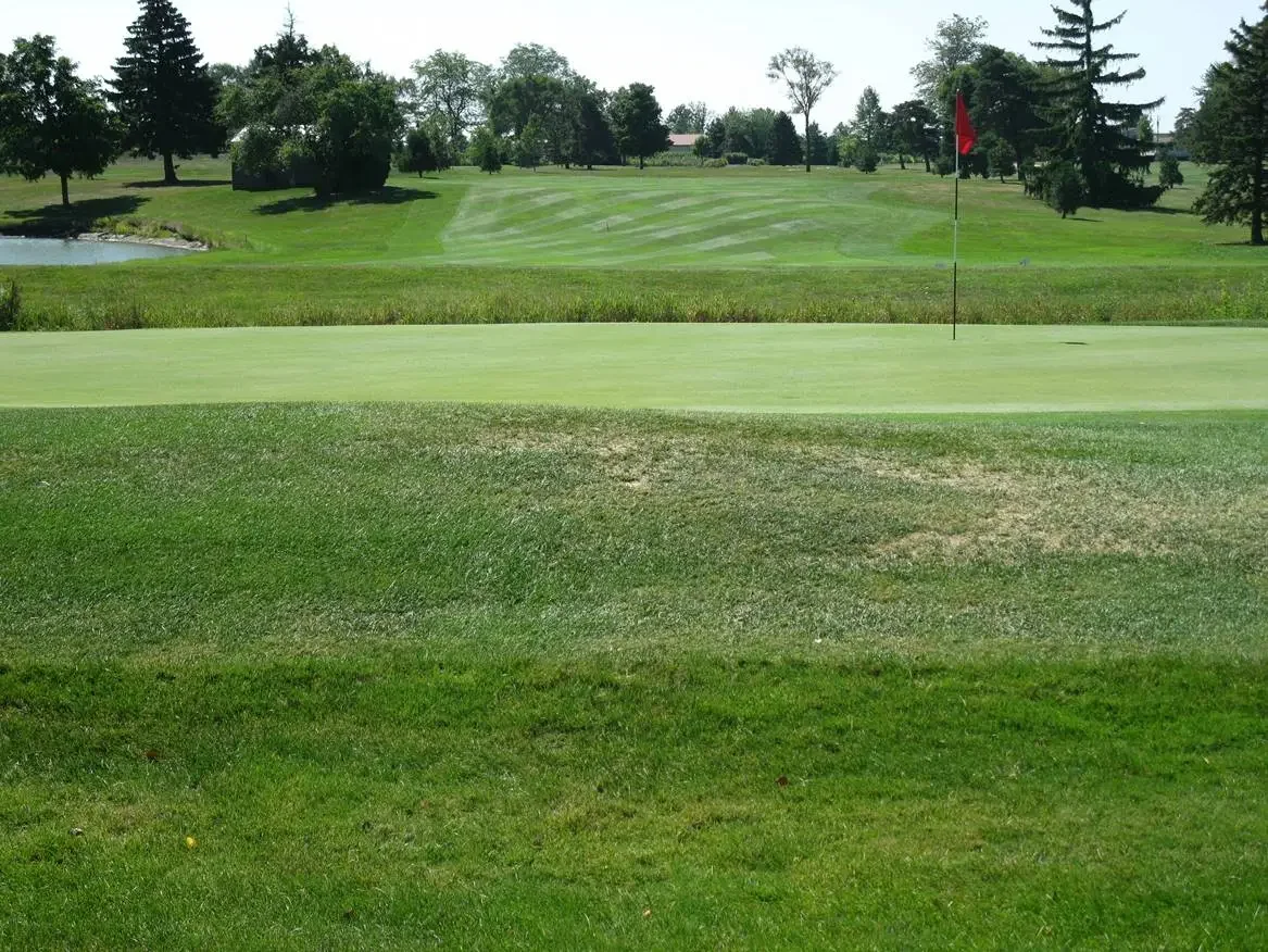 Golf course view with green fairway and flag