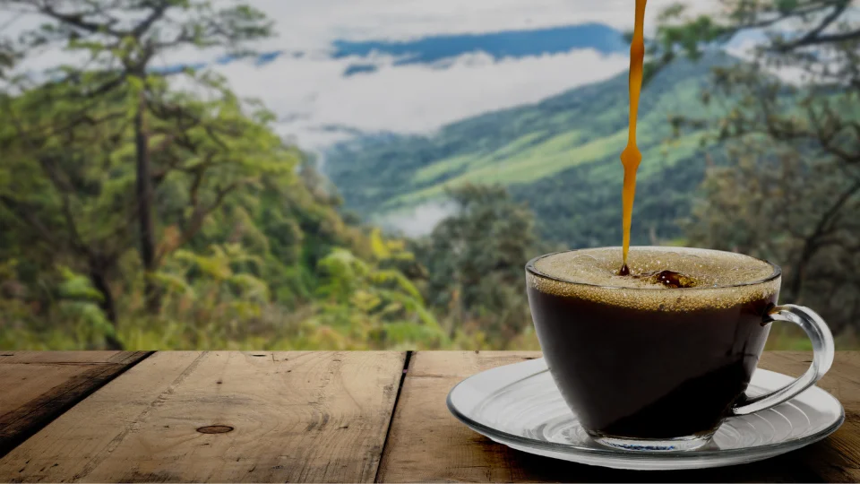 Fair Trade Certified Coffee Shopping Guide