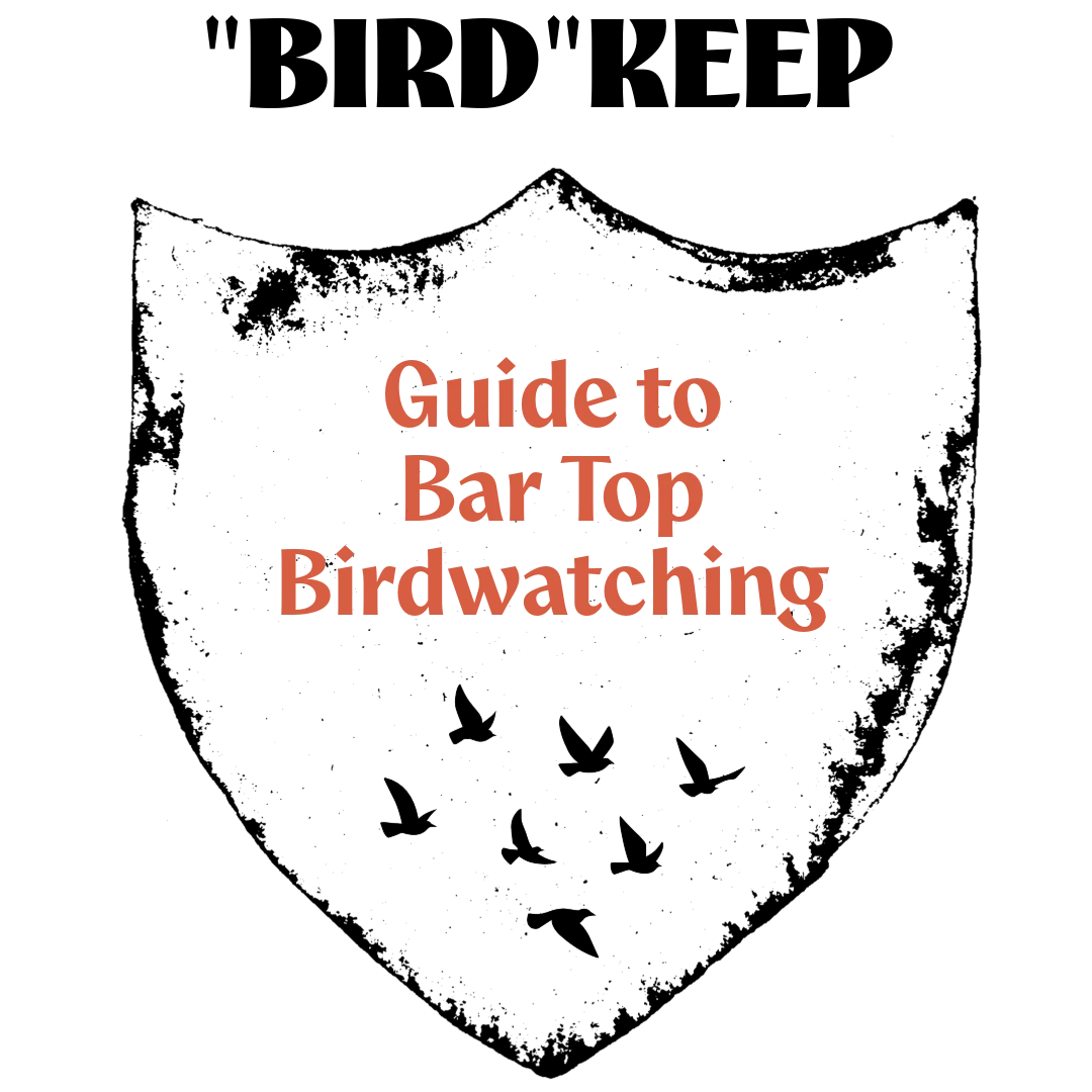 Guide to birdwatching at a bar with a creative design