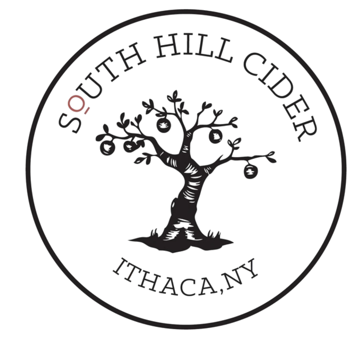 Logo of South Hill Cider from Ithaca, NY featuring a tree design