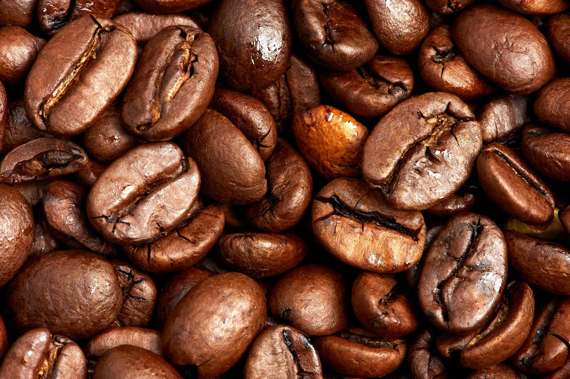 A close-up of a variety of colorful beans in a bowl.