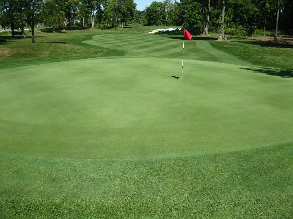 Golf putting green with a red flag in a scenic landscape