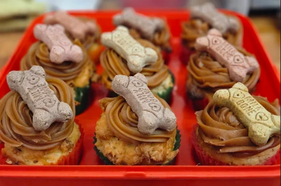 Dog-friendly cupcakes topped with bone-shaped treats