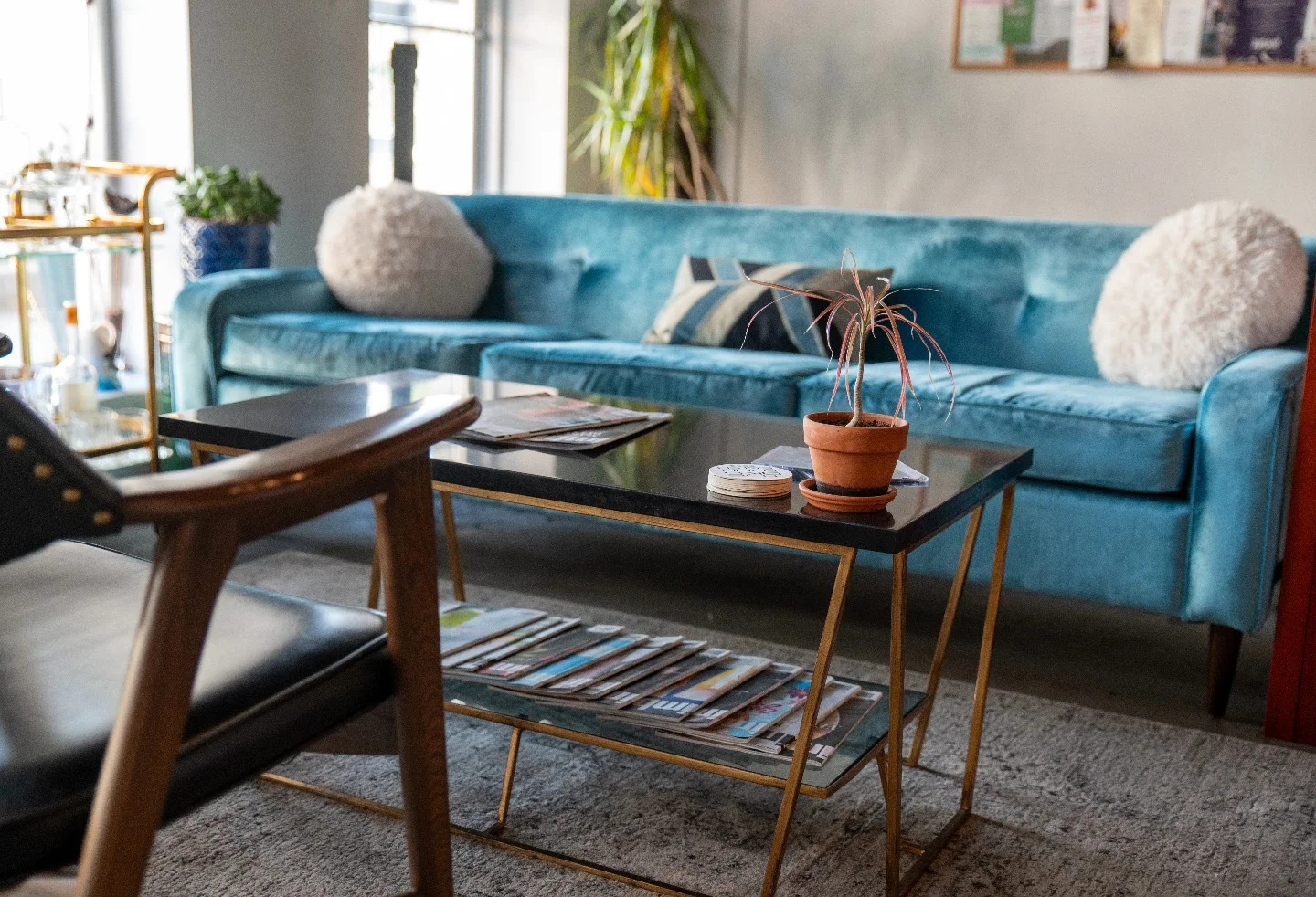 Cozy cafe interior with teal sofa, coffee table, and plants.