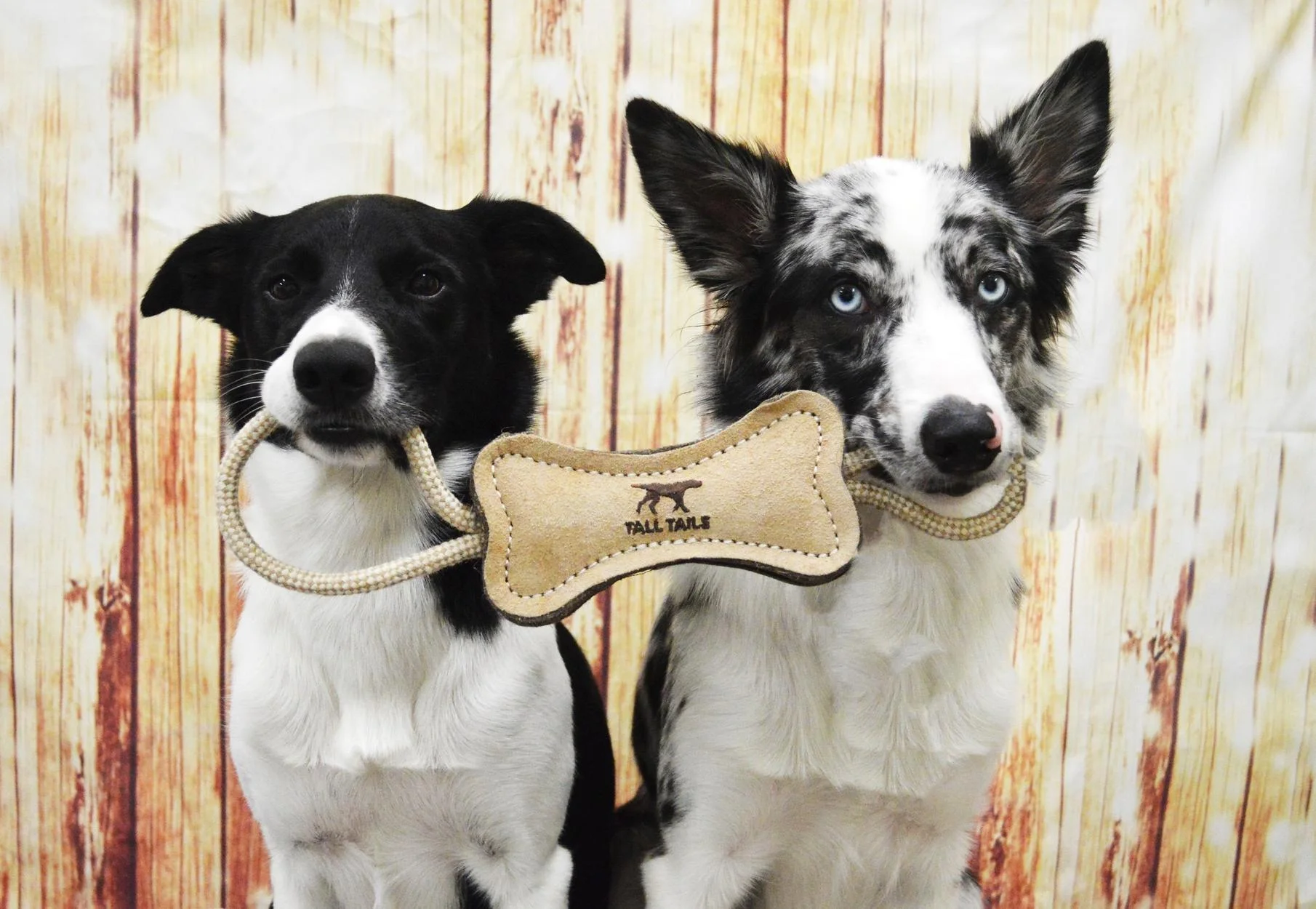Natural Leather & Wool Bone Tug Toy - 16"