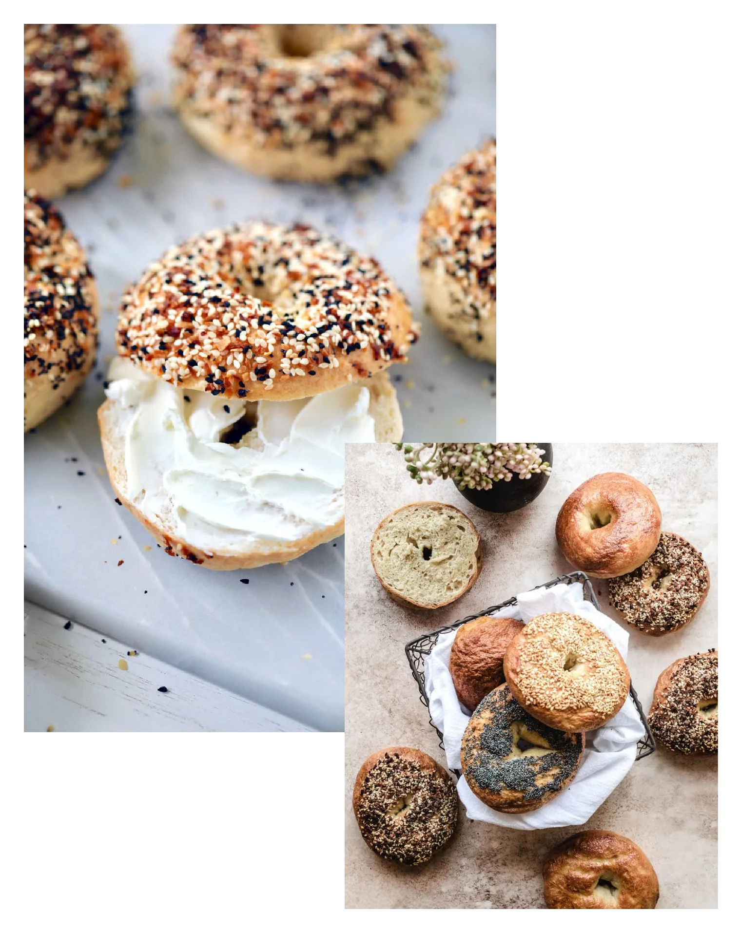 Freshly baked bagels with cream cheese spread