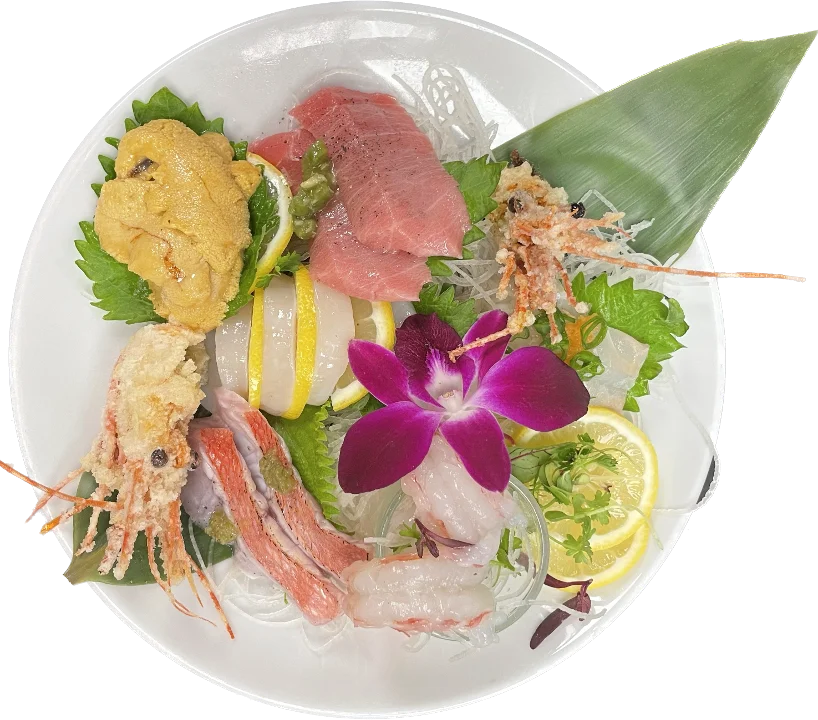 Kaiju 12PCS Premium Sashimi