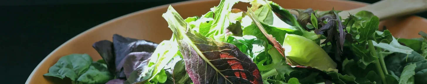 Fresh garden salad in a wooden bowl