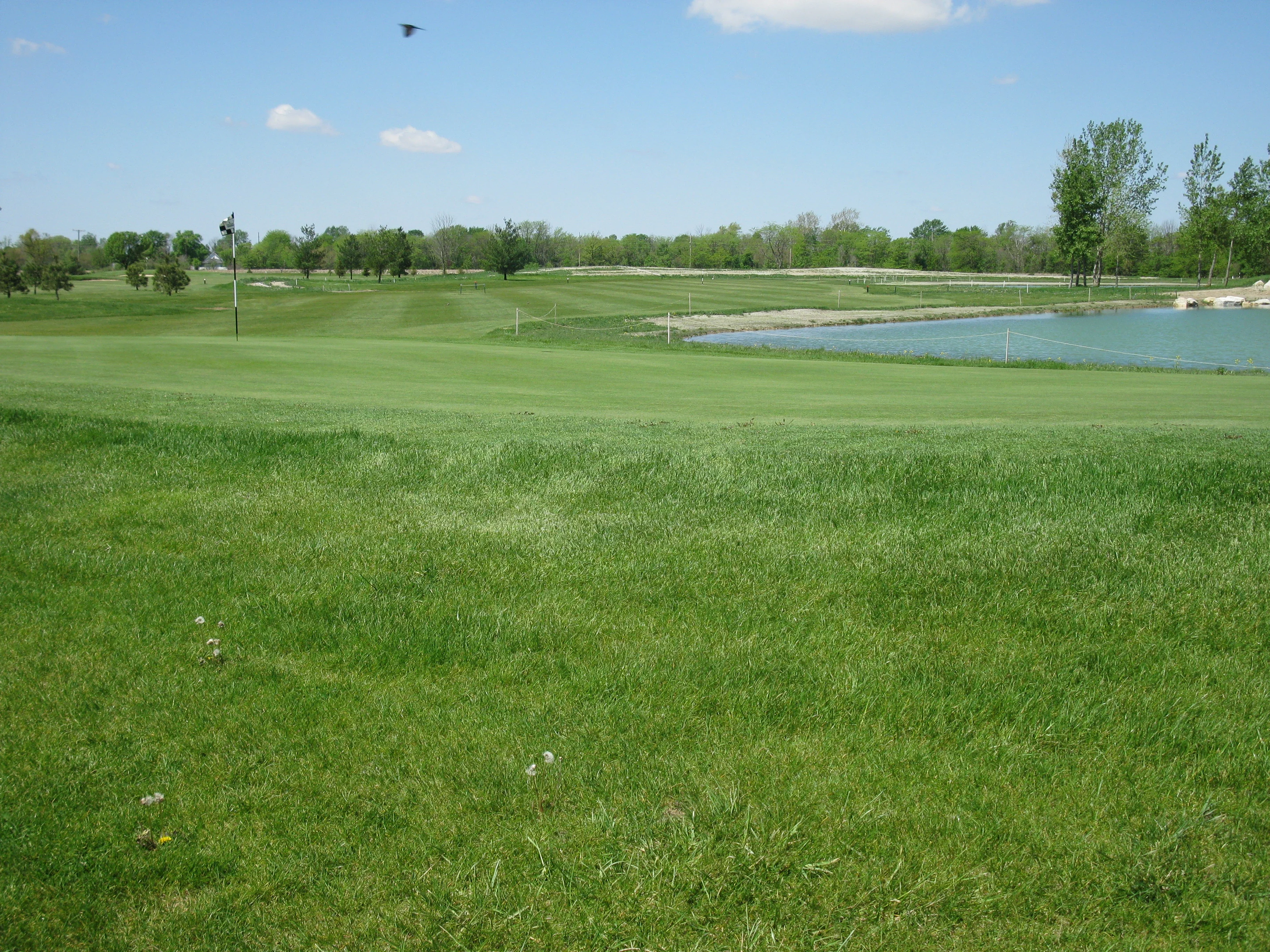 Lush green golf course with a serene pond under a clear blue sky