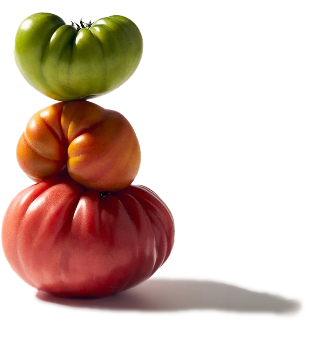Colorful heirloom tomatoes stacked artistically