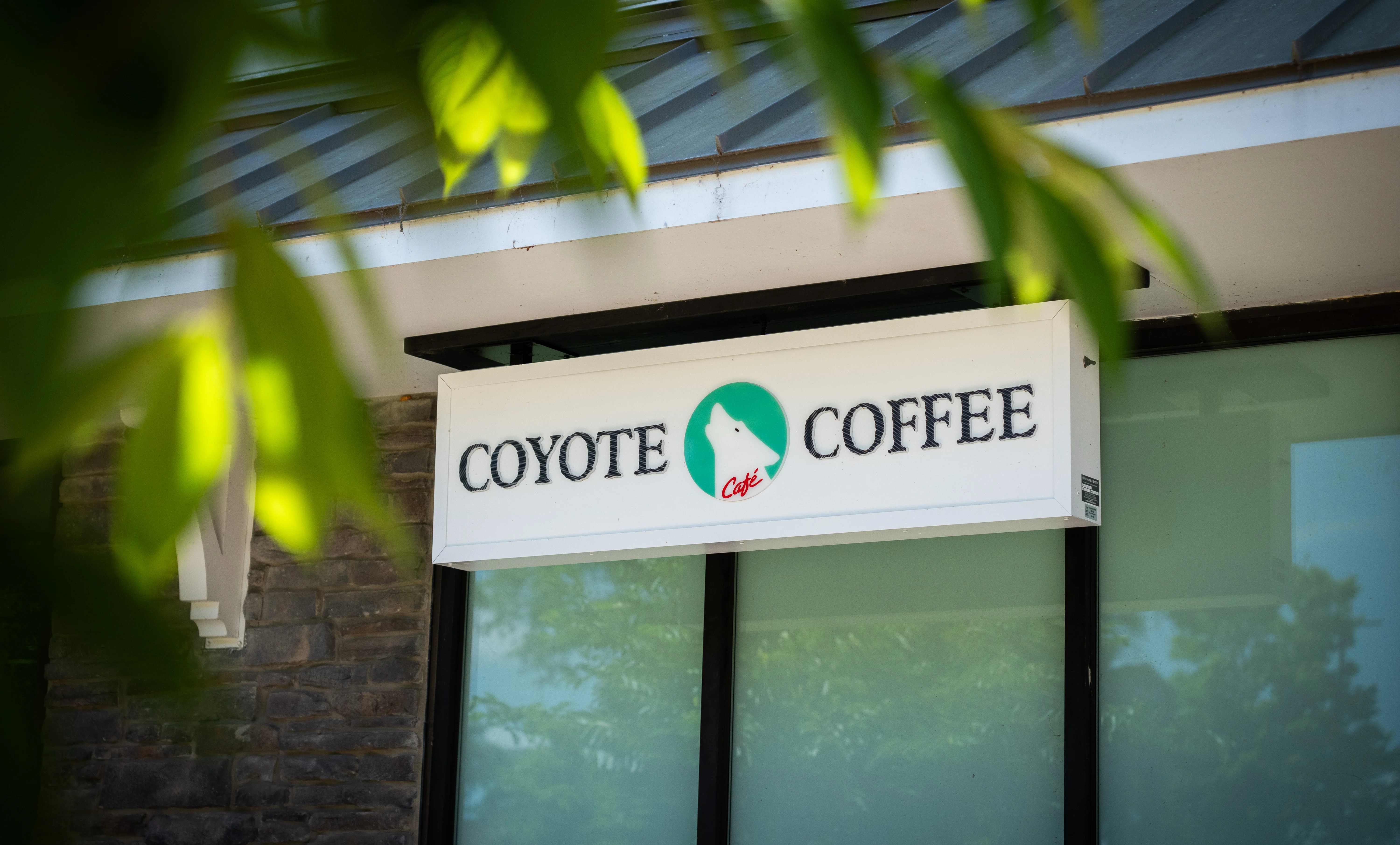 Coyote Coffee café sign with green logo