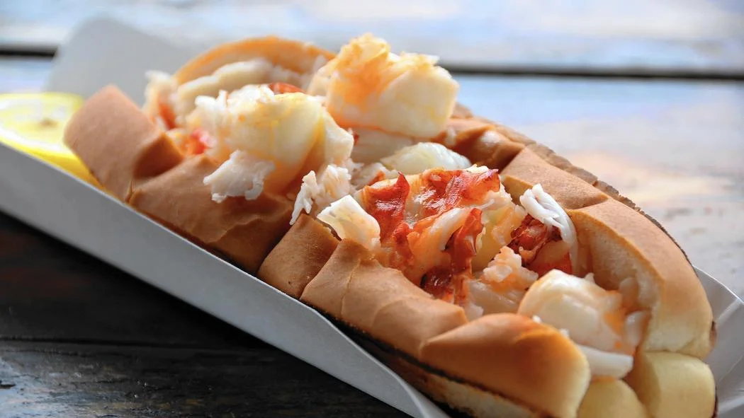 Lobster roll served in a soft bun