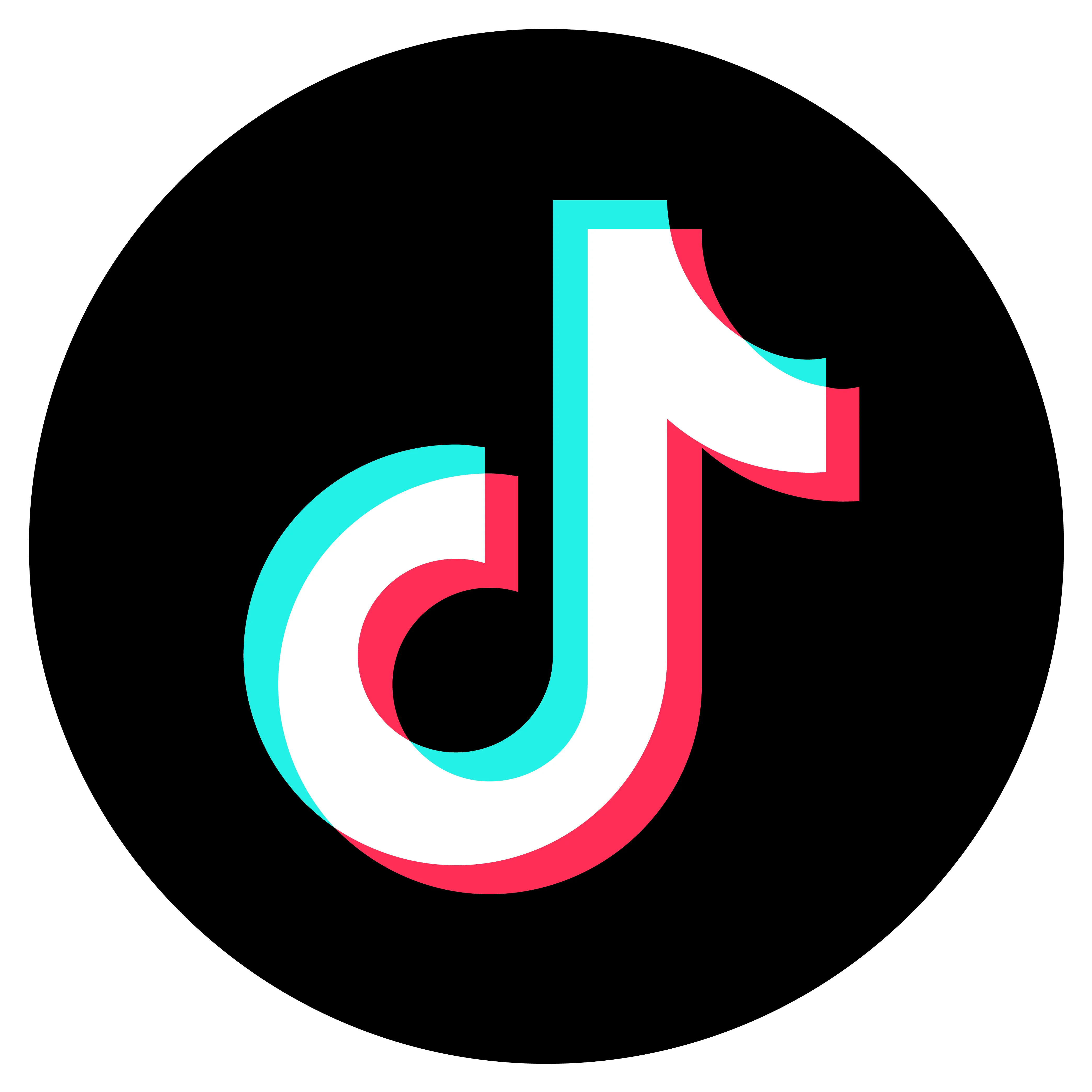 TikTok logo icon in vibrant colors