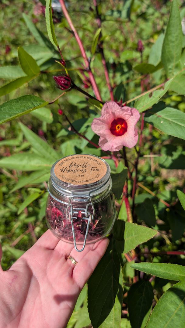 Roselle Hibiscus Tea - Image 1 of 2