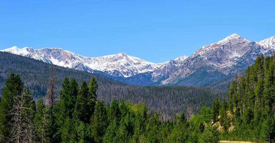 Scenic mountain road with snow-capped peaks and lush greenery