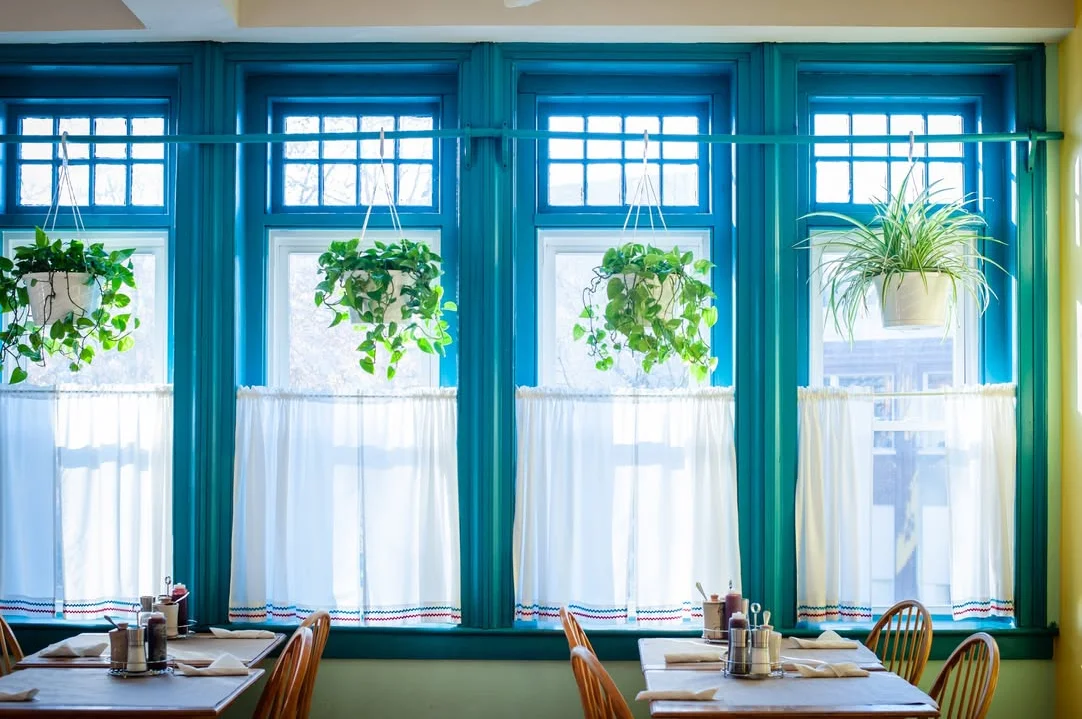 A bright indoor space featuring large windows with turquoise frames, decorated with hanging plants, sheer white curtains, and wooden tables.