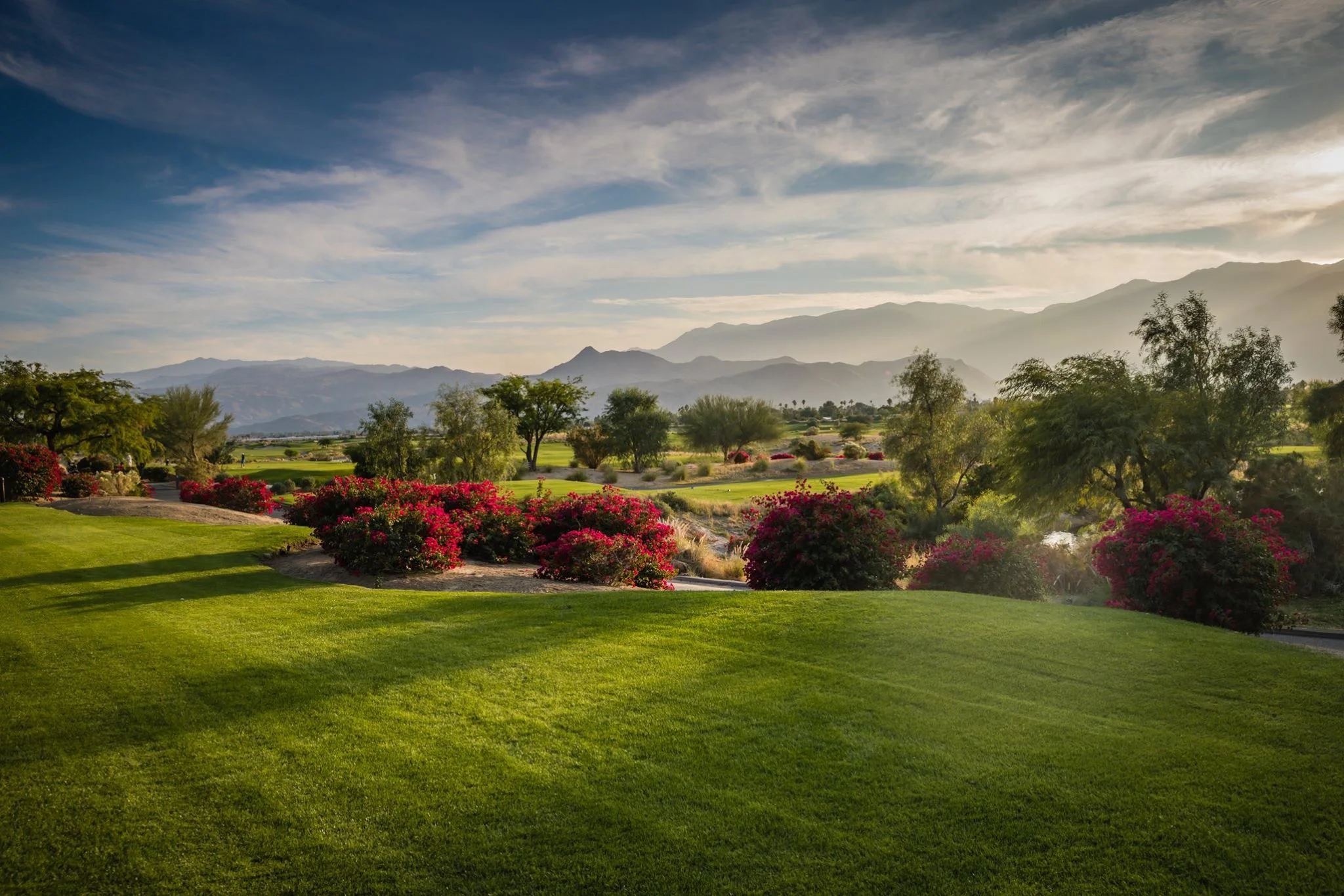 A luscious filed at Cimarron Golf Resort