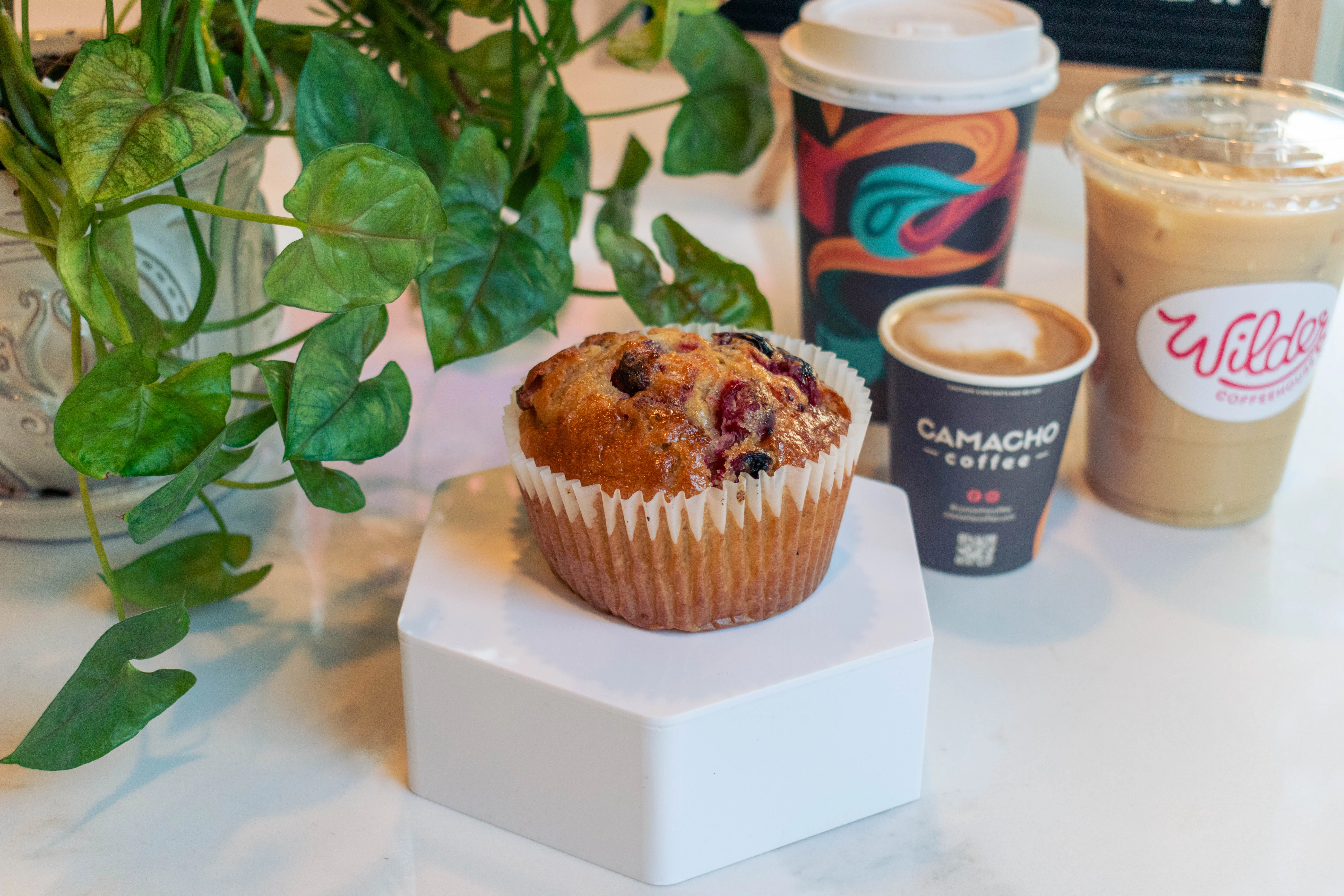 Cranberry orange muffin on a pedestal on the counter