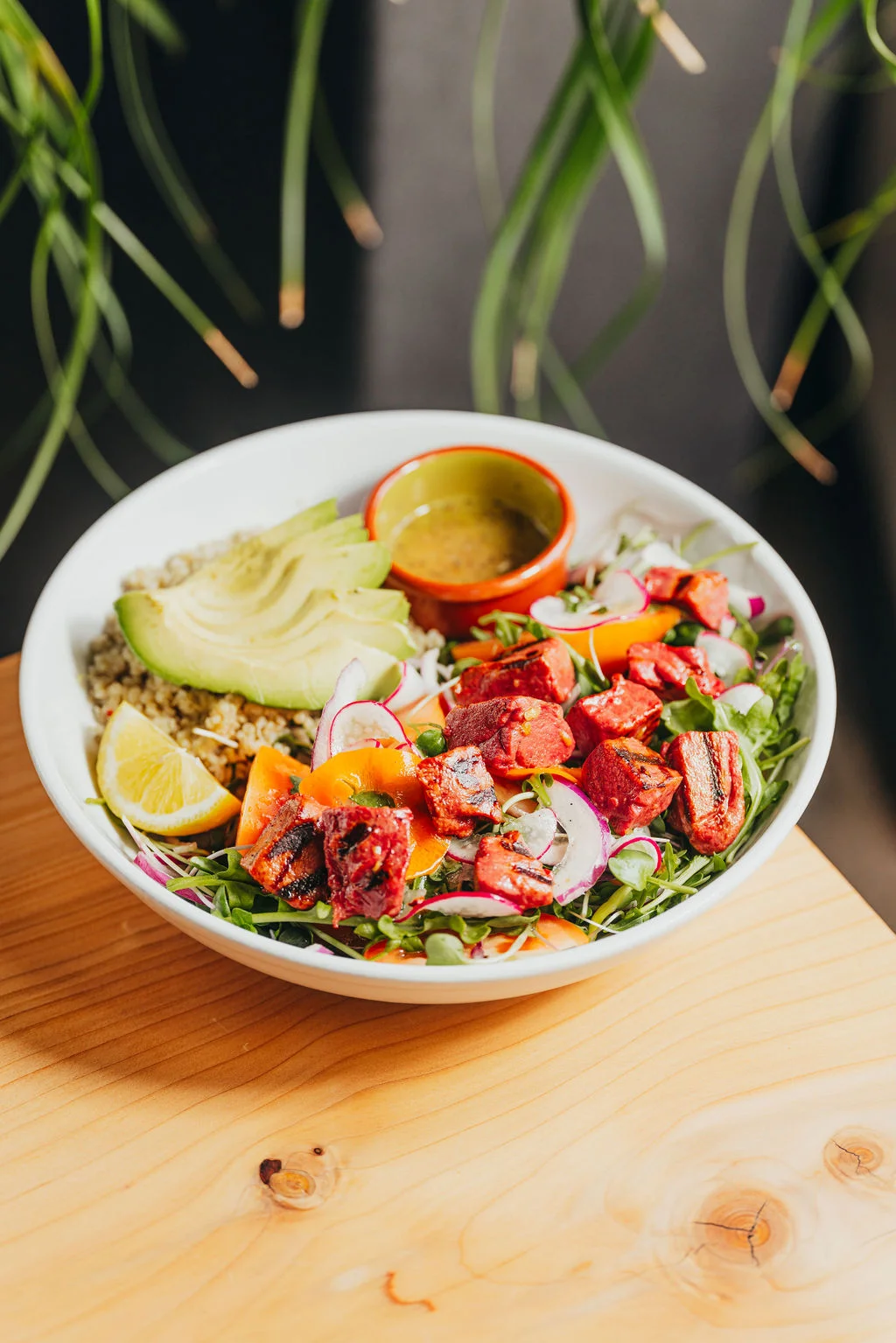 Vegan plant based Salads better meat company 