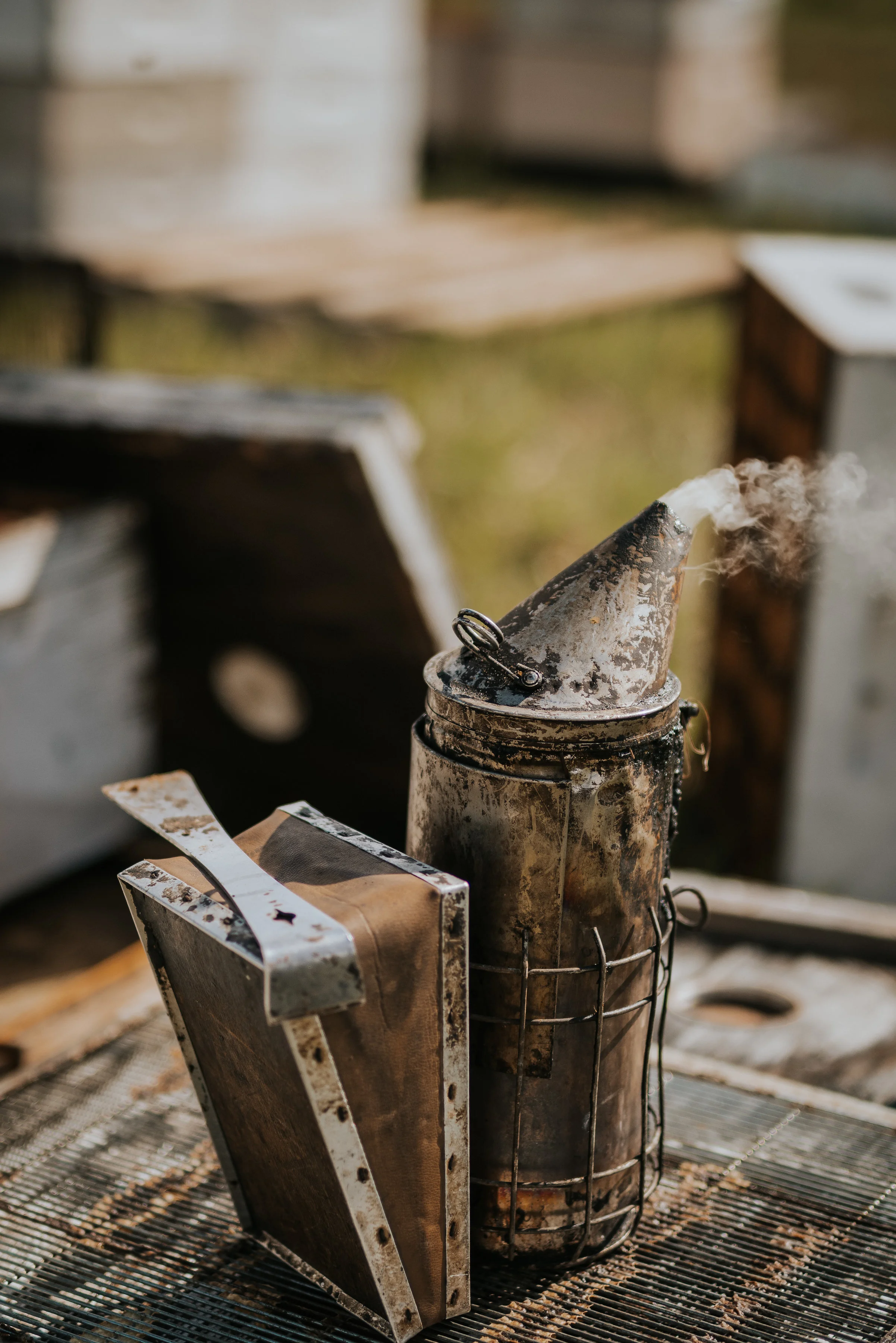 Bee smoker releasing smoke in a beekeeping setting
