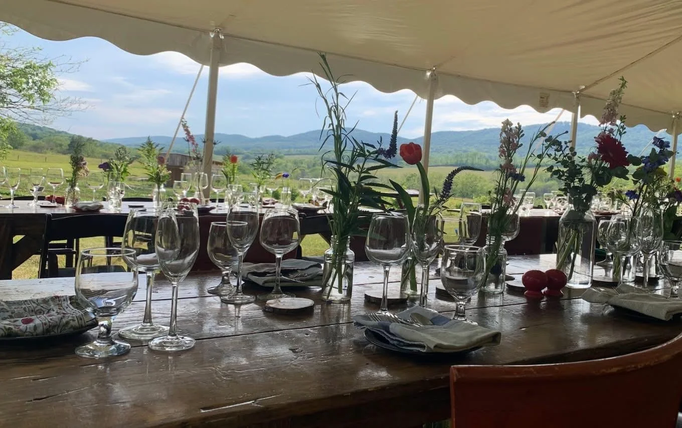 Elegant outdoor dining setup with scenic mountain views