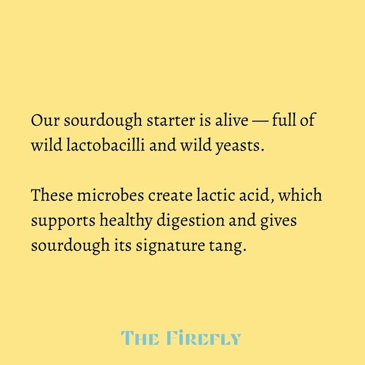 A text on a yellow background discussing the benefits of a sourdough starter, including wild yeast and health advantages.
