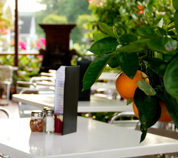 Charming outdoor restaurant patio with orange tree
