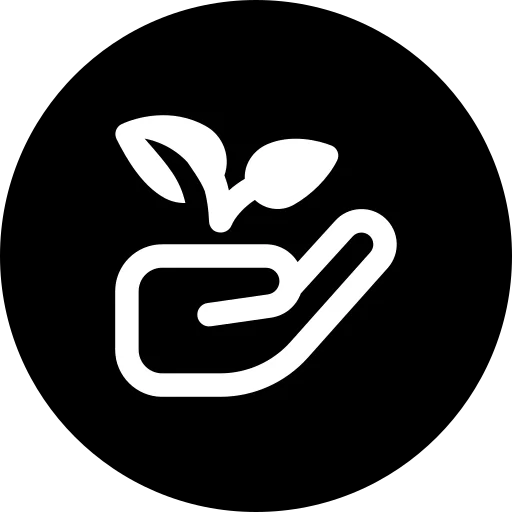 A vibrant plant care display with various potted plants and gardening tools.