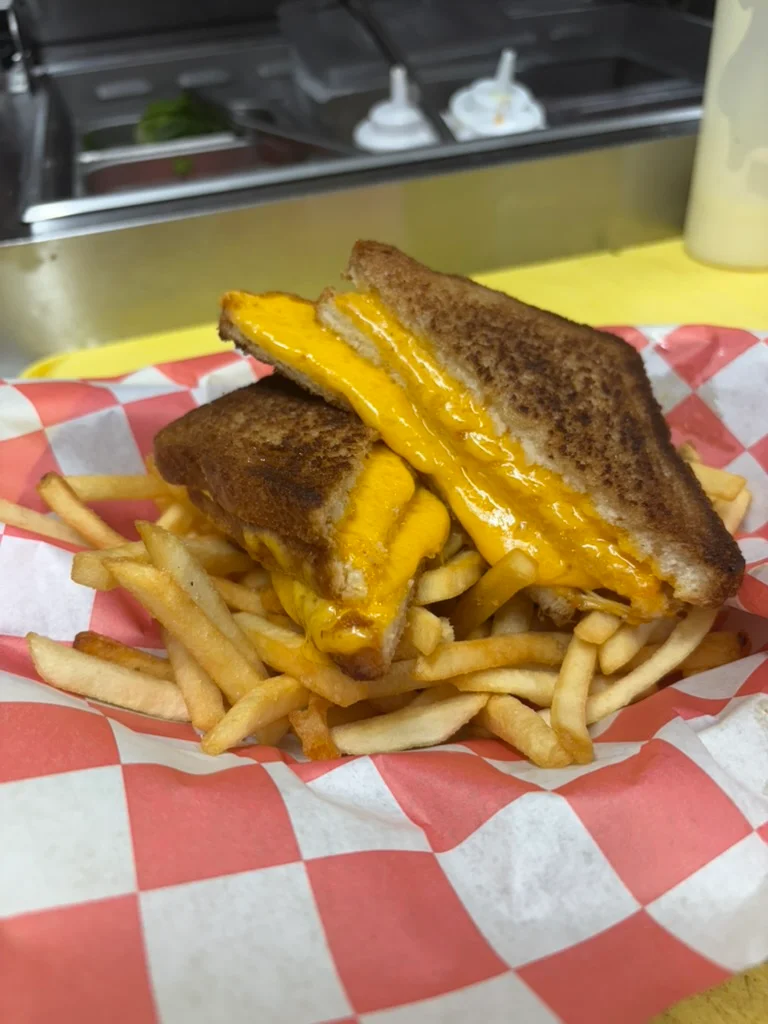 Grilled cheese sandwich with fries