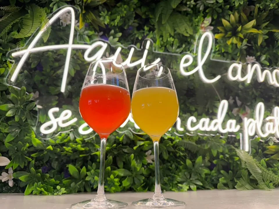 Colorful cocktails against a lush green backdrop