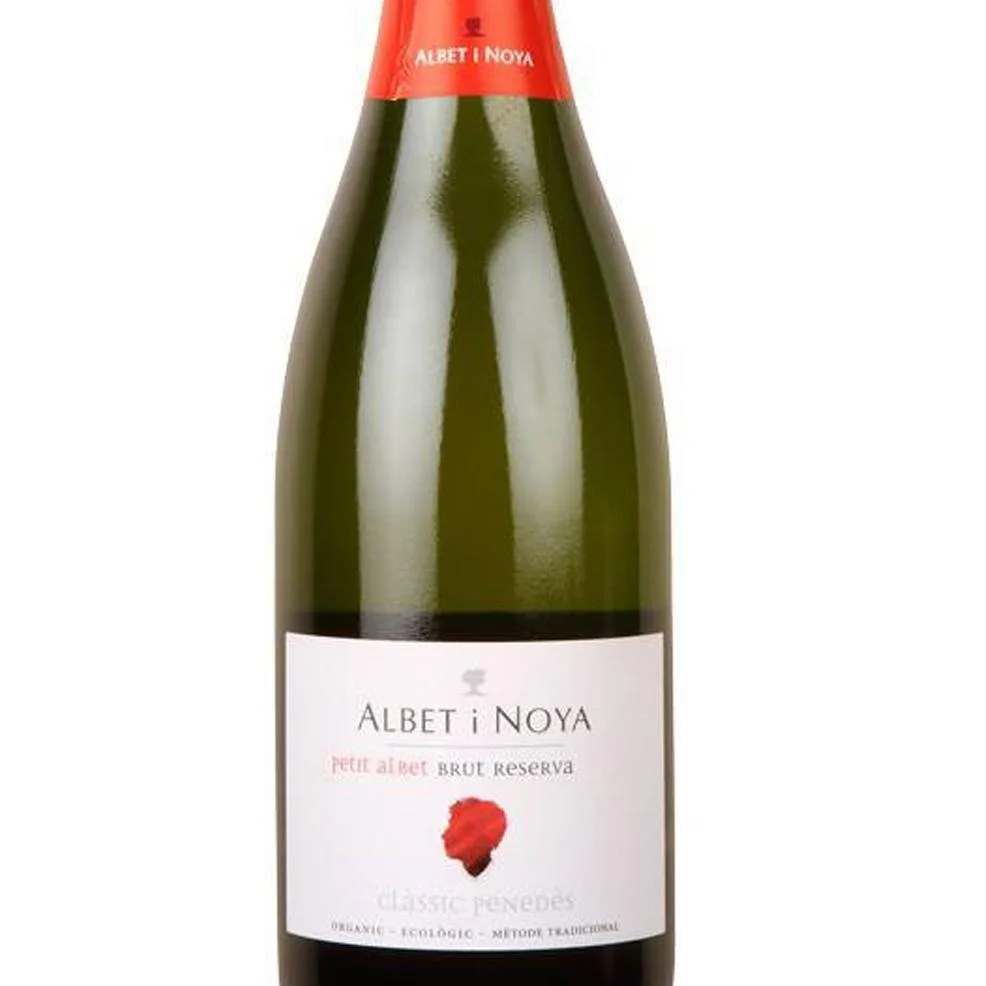 Albet I Noya Petit Albet Brut Reserva 2020 Champagne - Spain