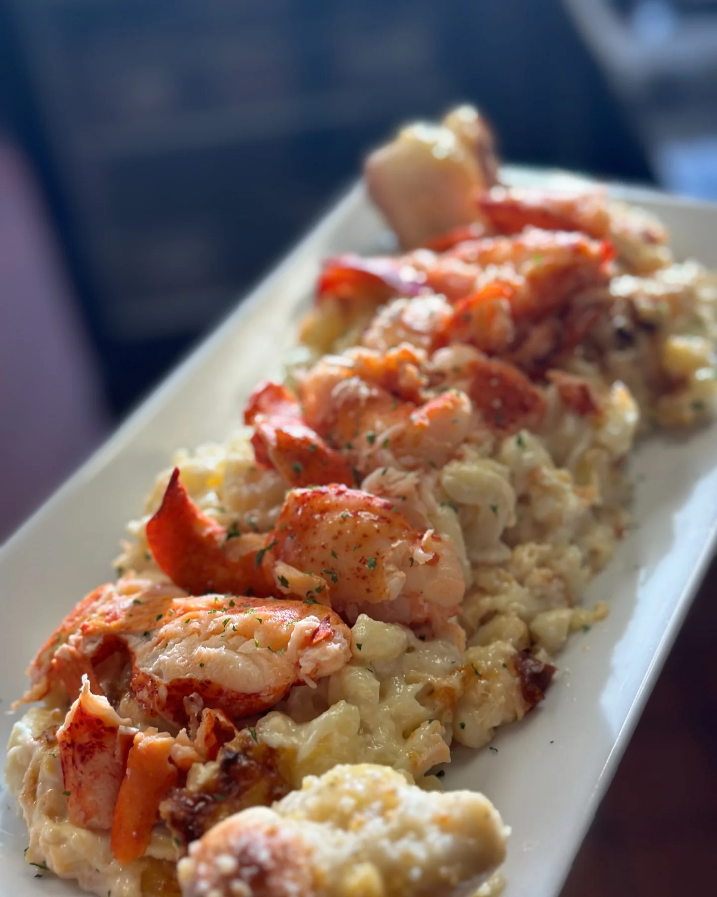 Lobster mac and cheese with succulent seafood