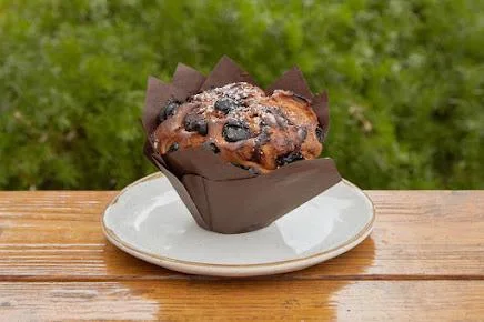 Blueberry Muffin