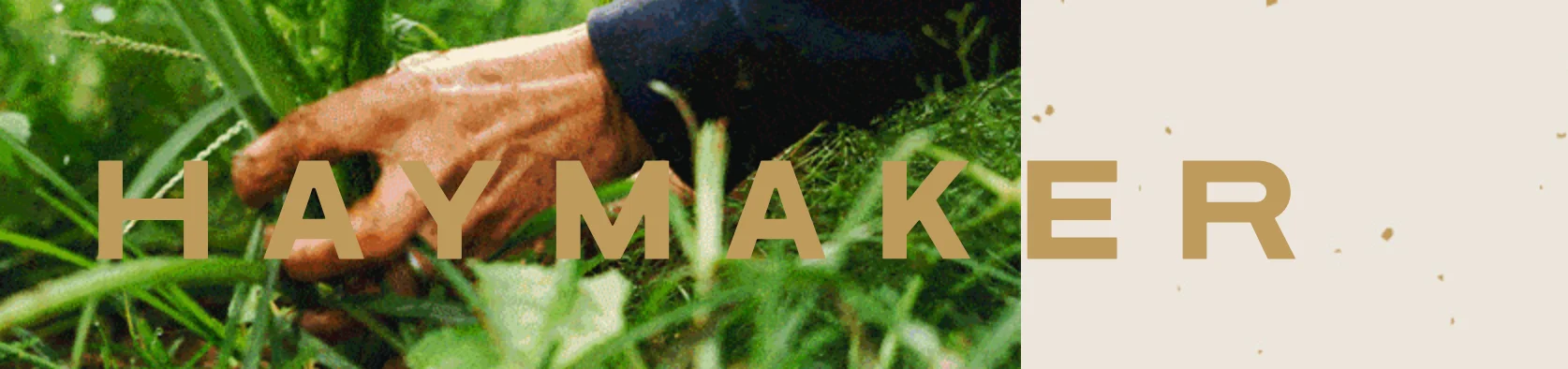Banner image