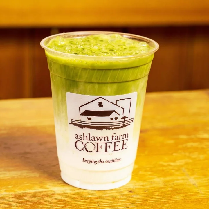 Iced Matcha Latte