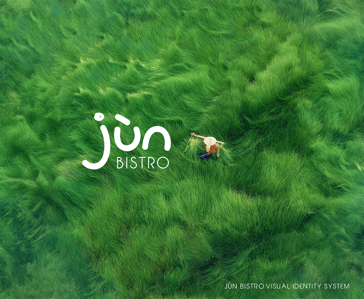 Aerial view of lush green fields with a person harvesting rice.