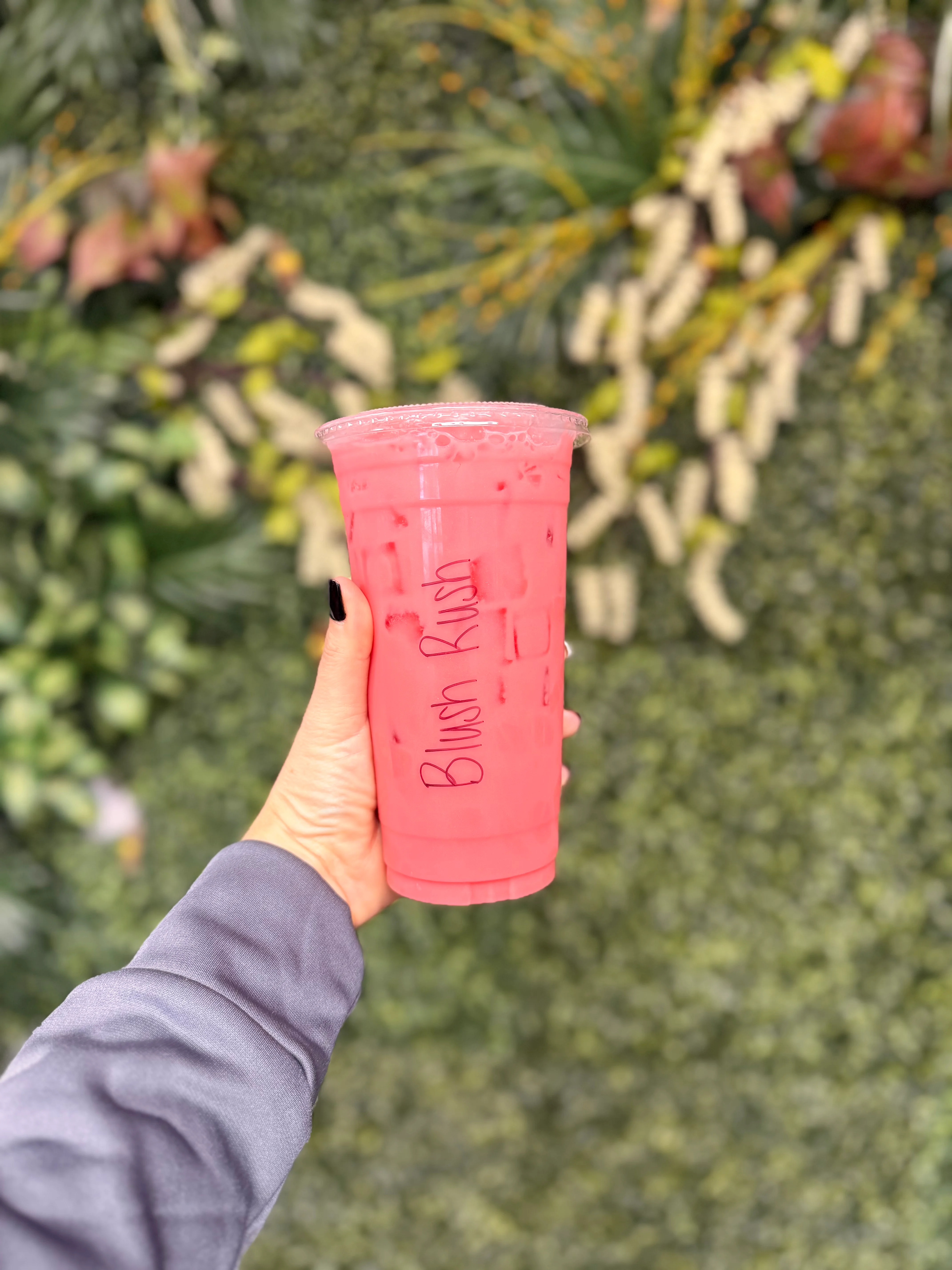 A bright pink drink in a cup labeled 'Blush Rush', held in front of a green, leafy background.