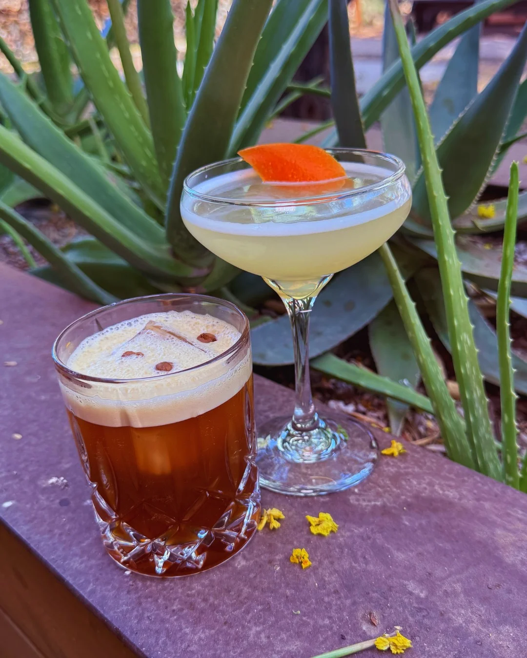 Two cocktails served outdoors with vibrant greenery in the background