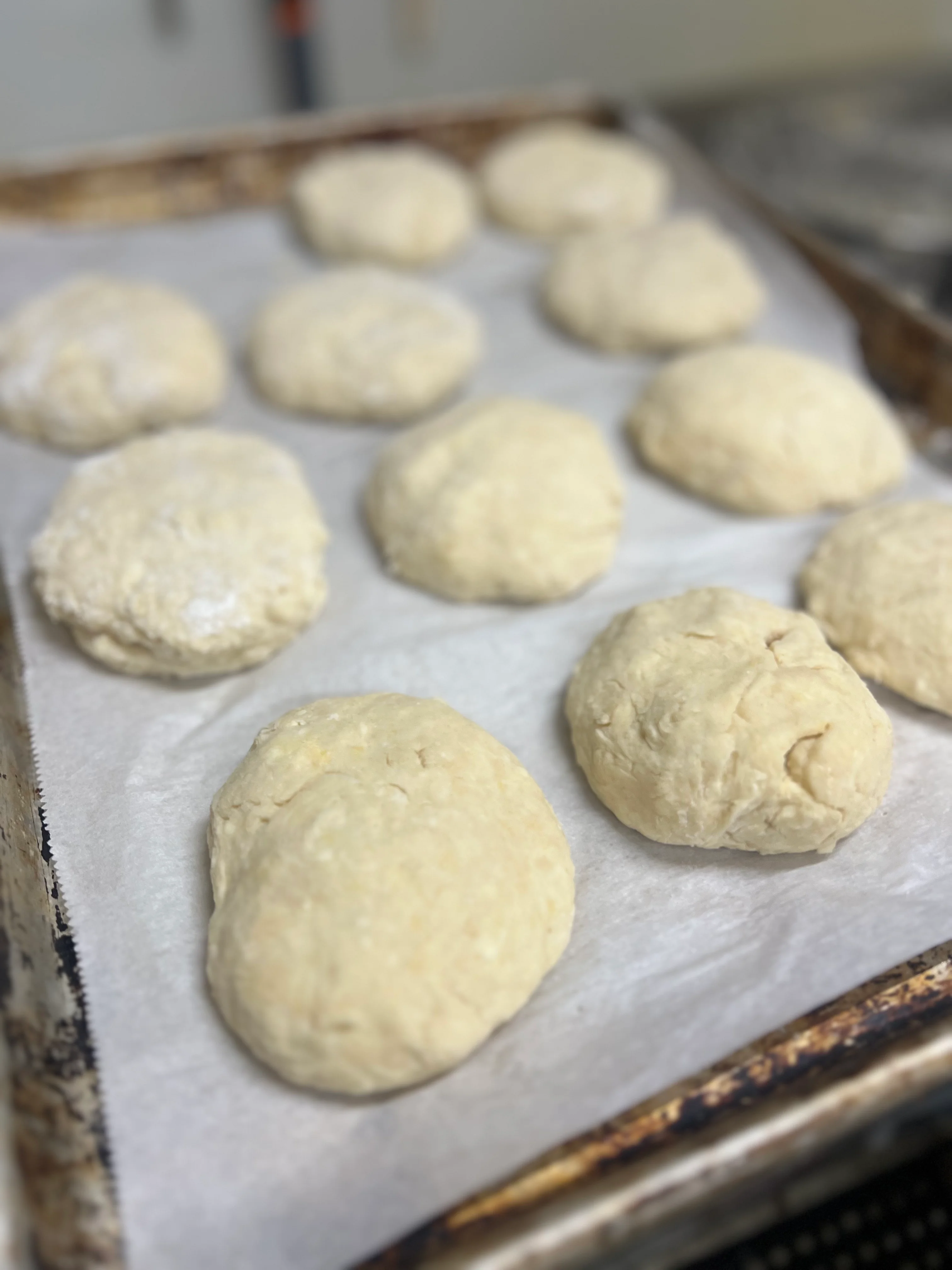 Freshly shaped dough rounds for baking bread