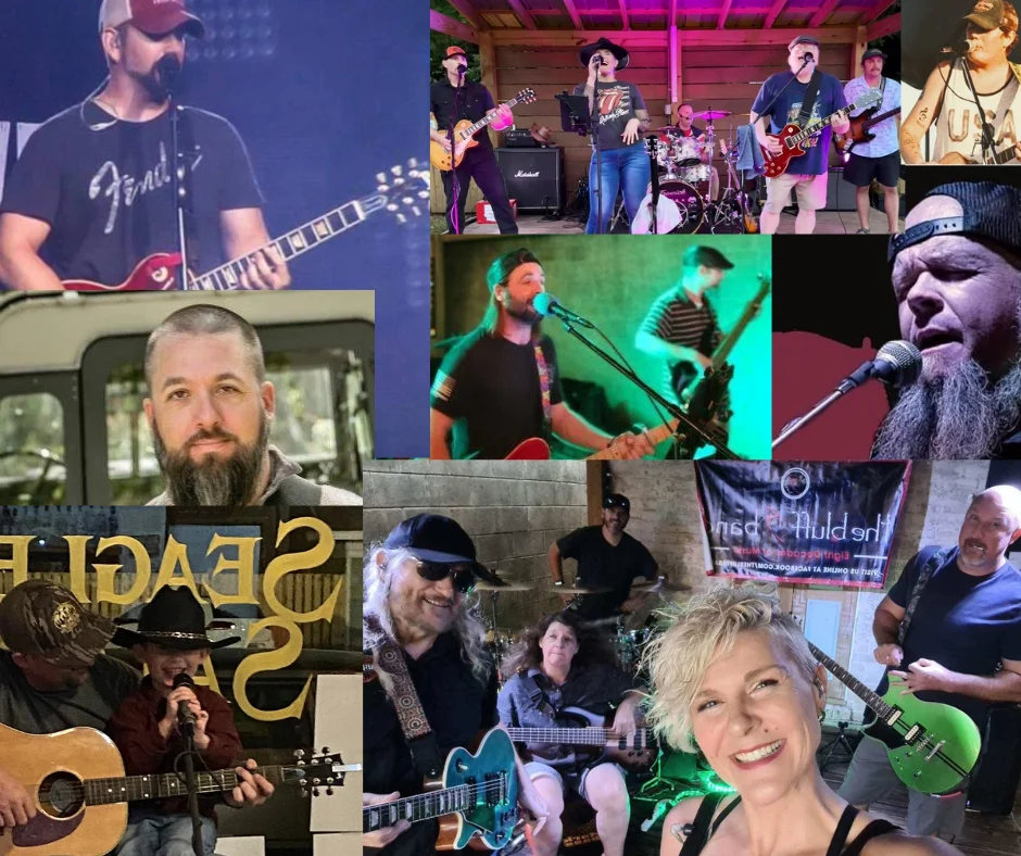 Live music performance featuring various musicians and bands