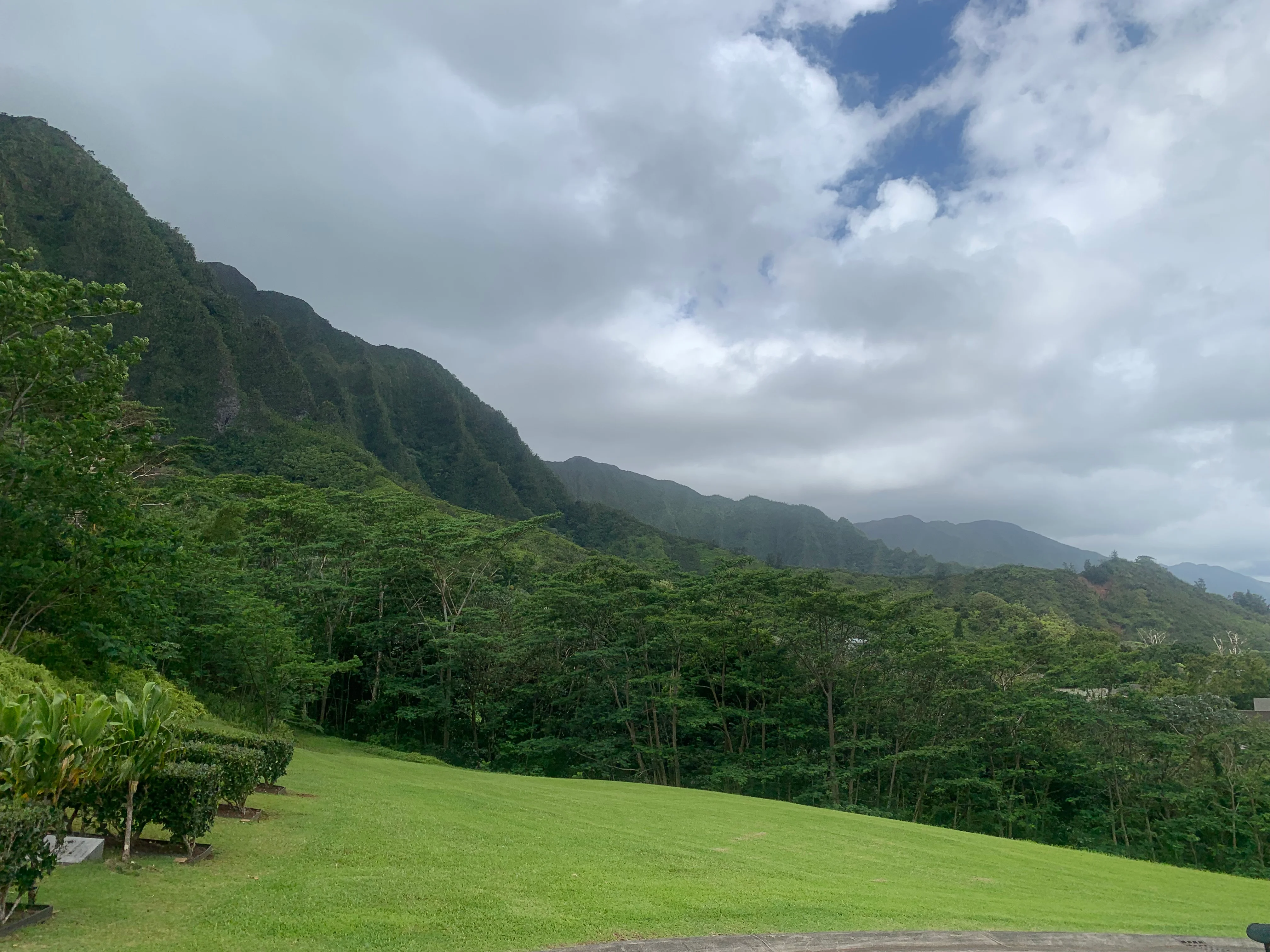 Lush green landscape with mountains under a cloudy sky