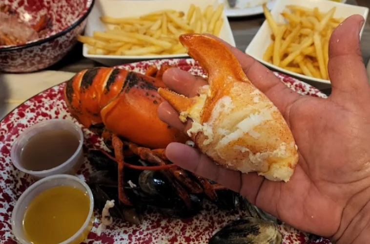 Fresh lobster claw served with fries and dipping sauces