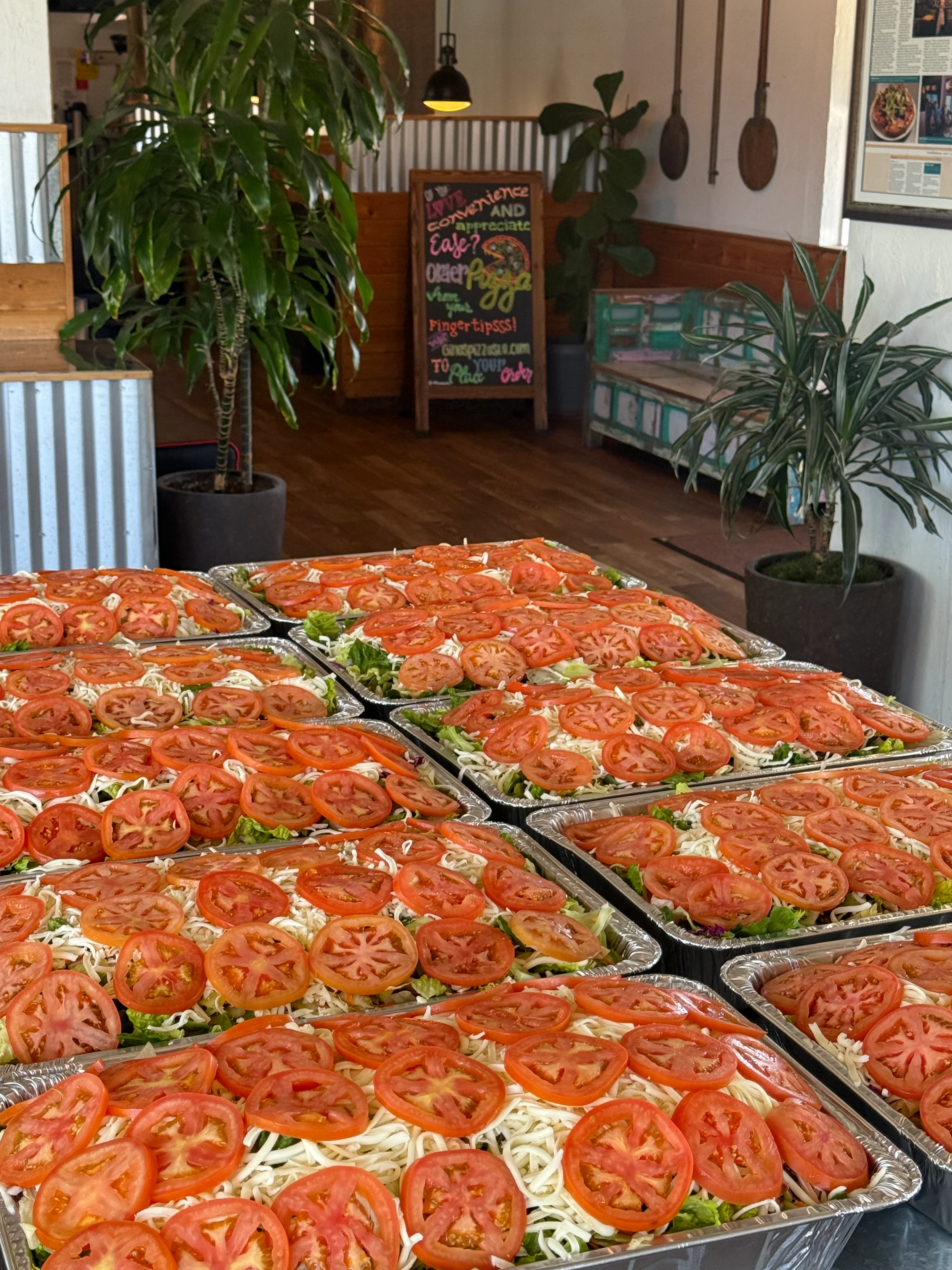 Freshly prepared garden salad with sliced tomatoes