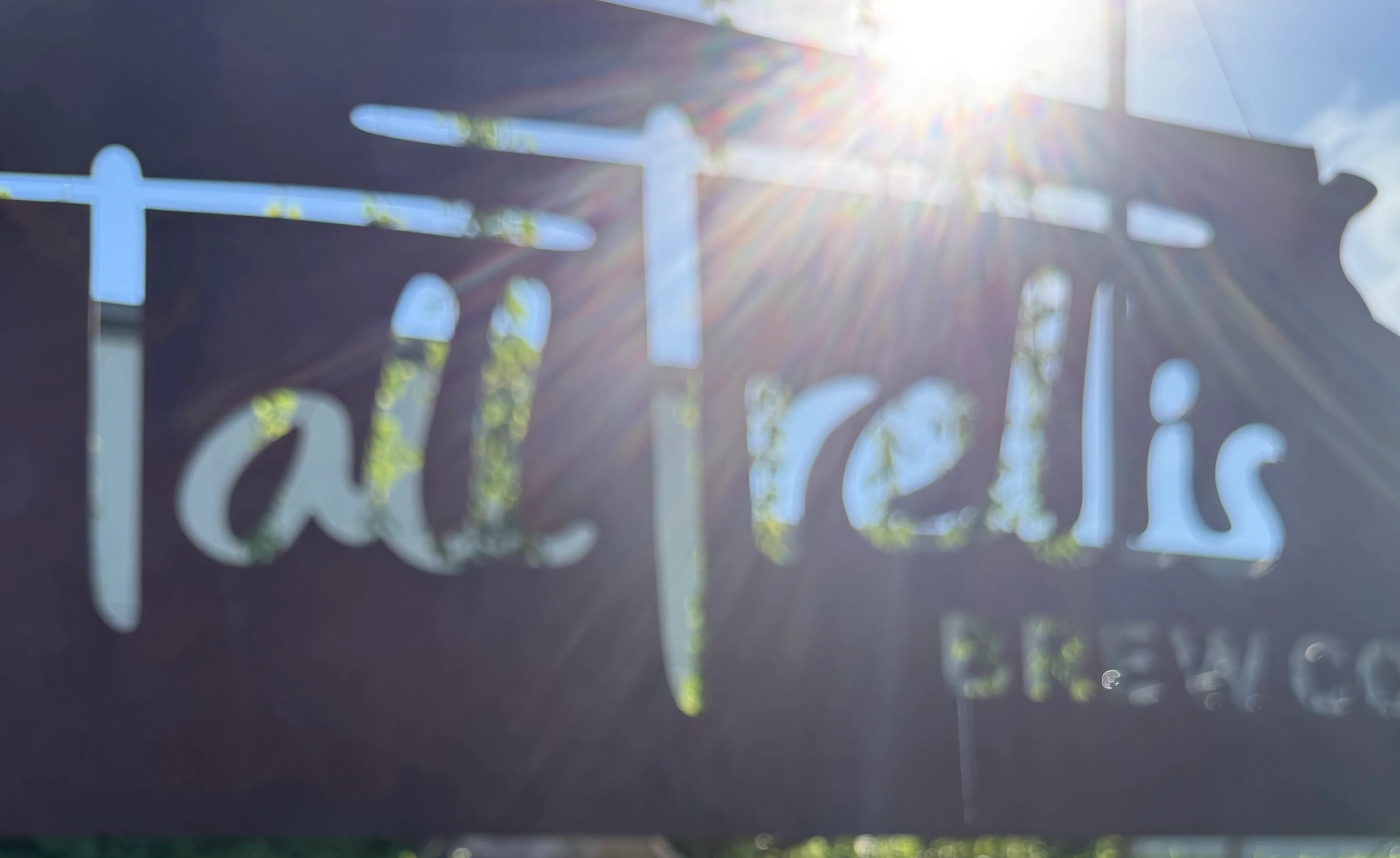 Craft beer served at Tall Trellis Brew Co in Olathe, Kansas