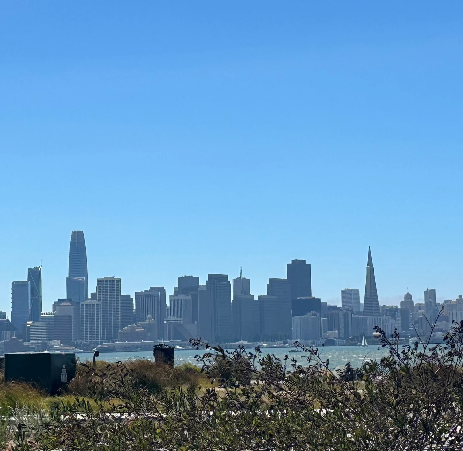 City View