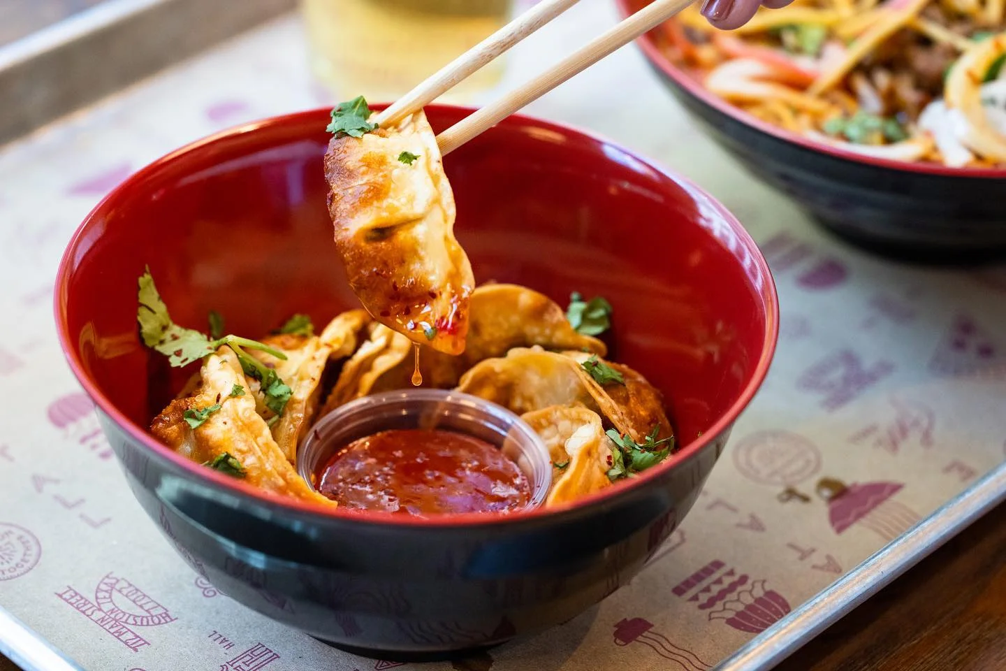 Crispy Chinese potstickers with dipping sauce