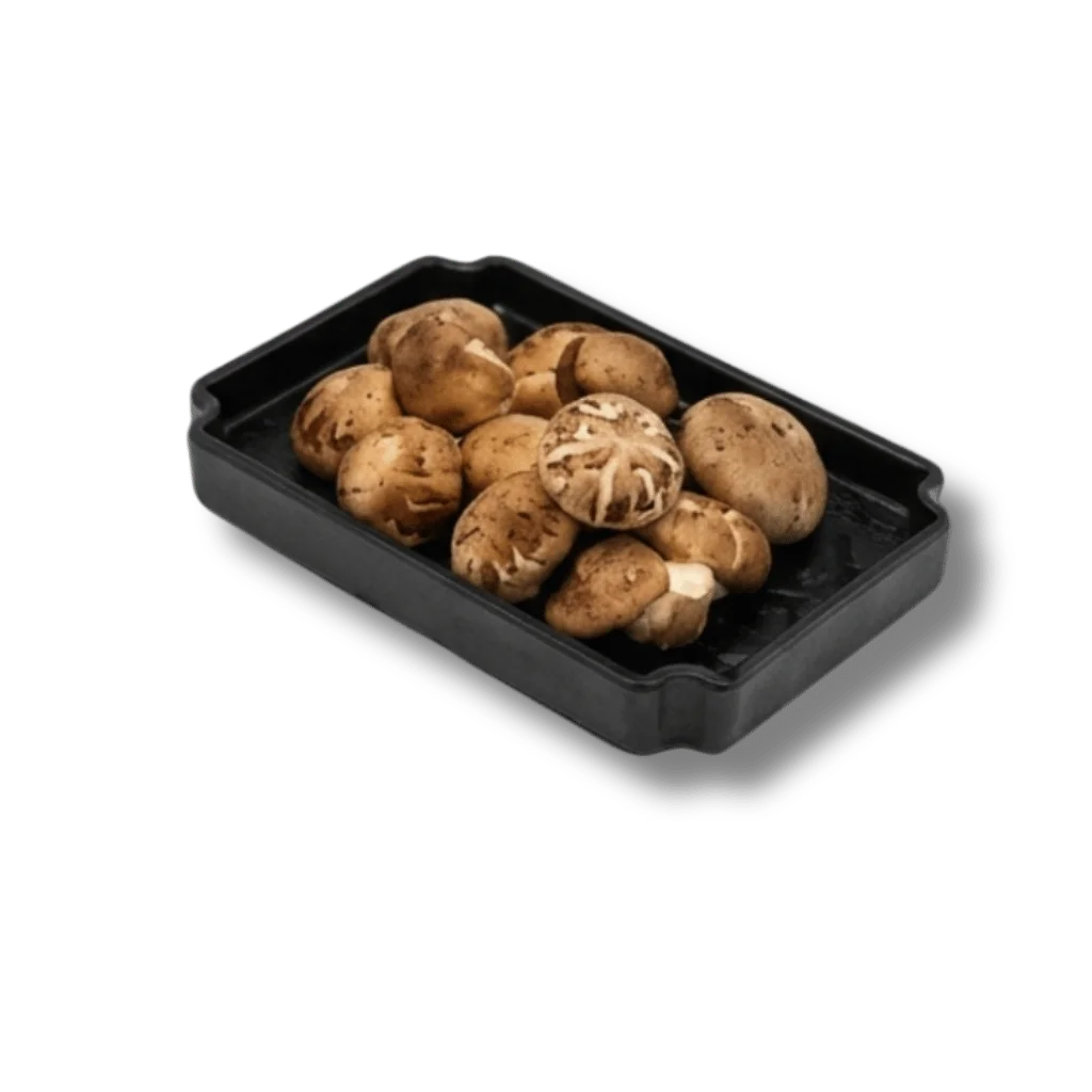 A tray of assorted fresh mushrooms on a black background.