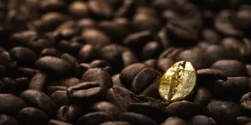 Golden coffee bean among dark roasted beans