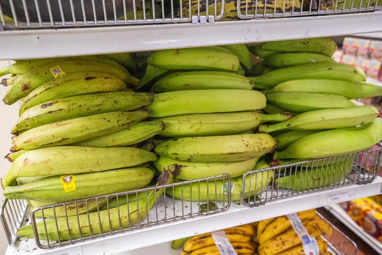 Fresh green plantains stacked in a grocery store